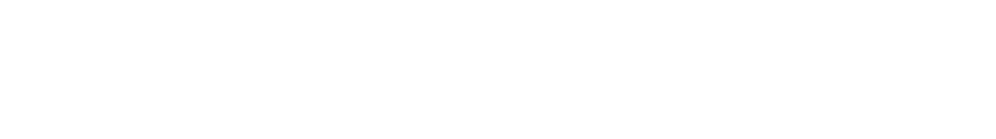 carVertical